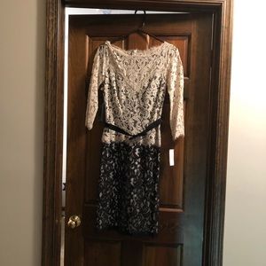 Beautiful lace overlay dress